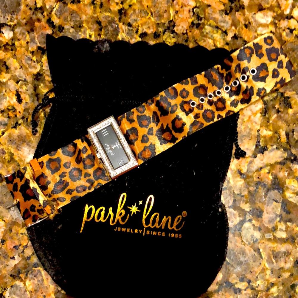 Park lane watch